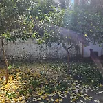 Garden Lemon Tree Villa *