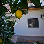 Garden Lemon Tree Villa