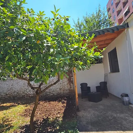 Garden Lemon Tree *