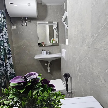 Garden Lemon Tree Villa Tirana