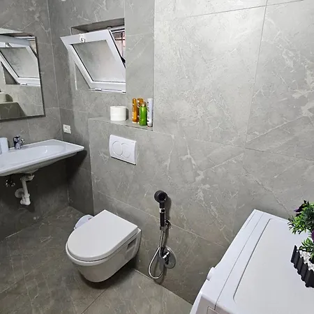 Villa Garden Lemon Tree Tirana