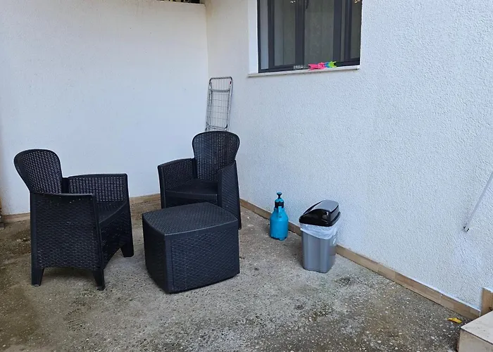 Garden Lemon Tree Tirana