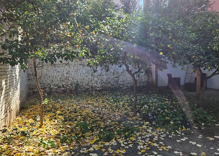 Garden Lemon Tree Villa *