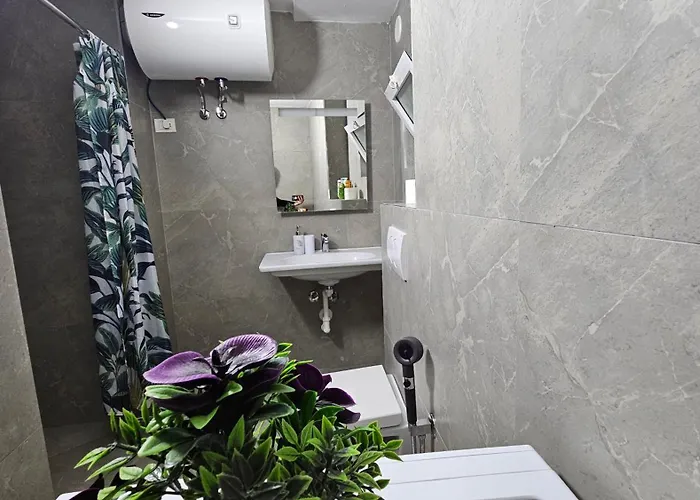 Garden Lemon Tree Villa Tirana