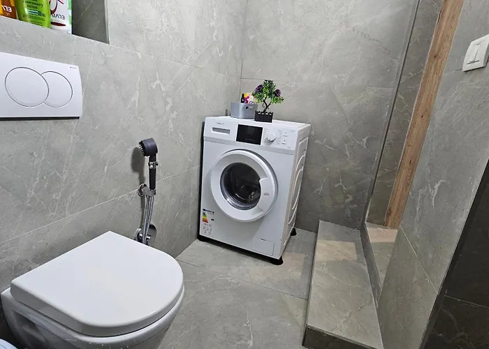 Garden Lemon Tree * Tirana