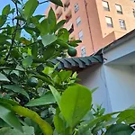 Garden Lemon Tree