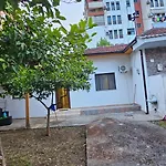 Garden Lemon Tree