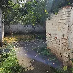 Garden Lemon Tree * Tiran