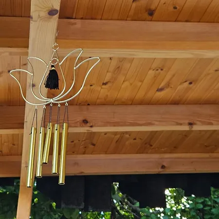 Garden Lemon Tree Villa Tirana