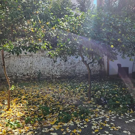 Garden Lemon Tree Villa *