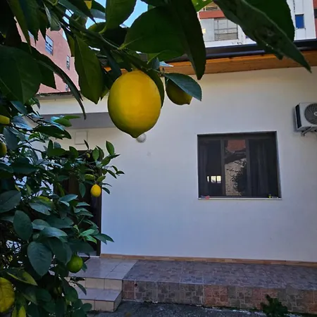 Garden Lemon Tree Βίλα