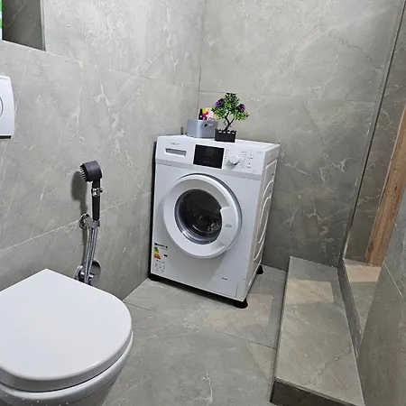 Garden Lemon Tree * Tirana